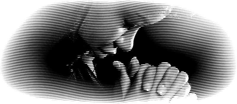 Weekly Title Picture